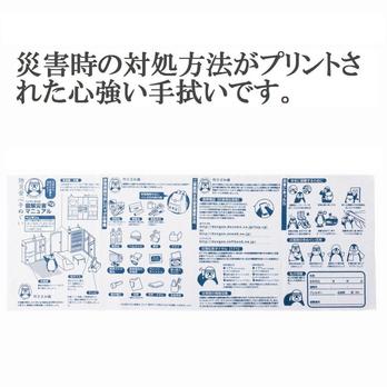 「図解」防災安心手ぬぐい