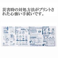 「図解」防災安心手ぬぐいの画像
