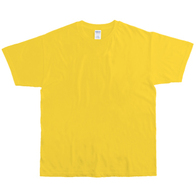 ASフィットTシャツ デイジーの画像