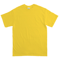 ヘビーウェイトTシャツ デイジーの画像