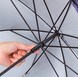 ロワーレース 晴雨兼用長傘