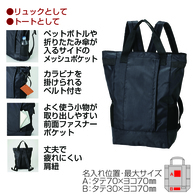 2WAY デイリーユースバッグバッグの画像