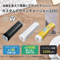 カスタムデザインチャージャー2200の画像