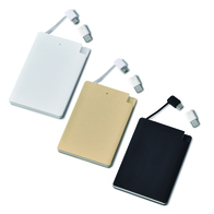 メタリック充電器2500の画像