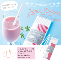 ペーパーストロー10本入の画像