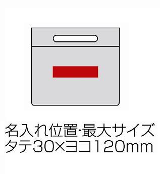 3WAY ビニルスパバッグの画像