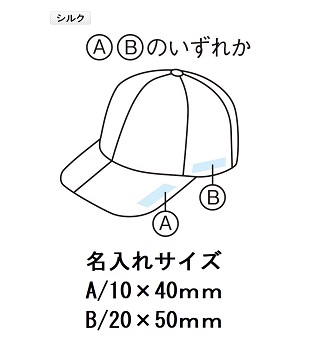 ポケキャップの画像