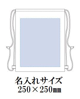イベントリュックの画像
