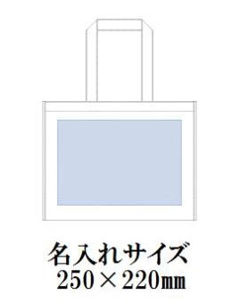 不織布裏張りボックストート(M)の画像