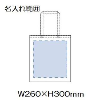 ライトキャンバスバッグ LL カラーの画像